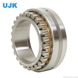 3282118 3282119 3282120 Cylindrical Roller Bearings 3282121 3282122 3282124 3282126 3282128 3282130 3282132 3282134 3282136 3282138