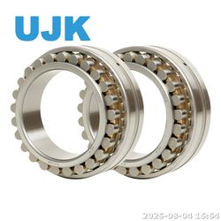 Double Row Cylindrical Roller Bearings 3282140 3282144 3282148 3282152 3282156 3282160 3282164 3282168 3282172 3282176 3282105 3282106 3282107