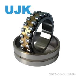 Double Row Cylindrical Roller Bearings Nnu4976K/W33 Nnu4980K/W33 Nnu4984K/W33 Nnu4988K/W33 Nnu4996K/W33