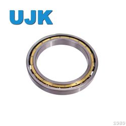Thin Section Bearings 61960 (1000960) 300X420X56 23.500kg 61964 (1000964) 320X440X56 24.800kg