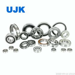 NSK Ball Bearings 6201 6201 Du 6201V 6201z 6202 6202du 6202V 6202z 6203 6203dul1 6203z 6204 6204du 6204zz 6205z Used for Industrial Conveyors