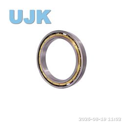 Thin Deep Groove Ball Bearings 61819/61819-2RS/61819zz (1000819/1000819 2RS/1000819 ZZ) 95X120X13 0.300kg