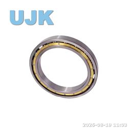 Thin Section Ball Bearings 61821/61821-2RS/61821zz (1000821/1000821 2RS/1000821 ZZ) 105X130X13 0.320kg