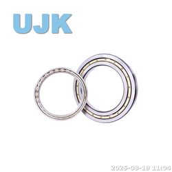 Bearing Wholesalers Thin Deep Groove Ball Bearings 61828/61828-2RS/61828zz (1000828/1000828 2RS/1000828 ZZ) 140X175X18 0.990kg