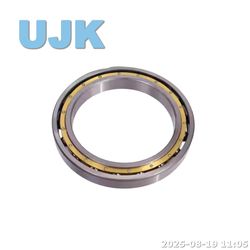 Thin Ball Bearings 61844 (1000844) 220X270X24 3.000kg 61848 (1000848) 240X300X28 4.600kg
