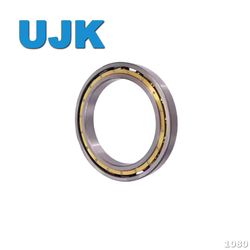 Thin Section Ball Bearings 61922/61922zz (1000920/1000920 ZZ) 110X150X20 0.900kg