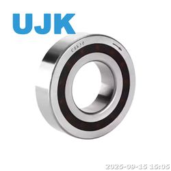 12mm One Way Clutch Bearing Csk12 Csk12p Csk12PP One Direction Bearing with Bicycle Ball Bearing 12*32*10mm Bike Bearings