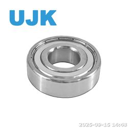 Corrosion-Resistant 420/440c Stainless Steel Bearing 603 604 605 606 607 608 6000 6001 6002 6003 6004 6005 6006 Zz 2RS Bearings