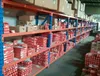 Original NSK Koyo Bearing 6200 6202 6203 High Precision P5 Brass Cage Deep Groove Ball Bearing Steel Oil Grease From Jpn