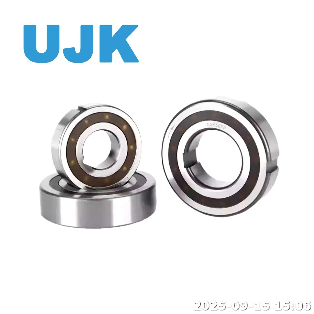 High Quality One Way Clutch Bearing Csk15PP Csk17PP Csk20PP Csk25PP Csk30p Csk35p Csk40p Free Sample Fast Shipping pictures & photos
