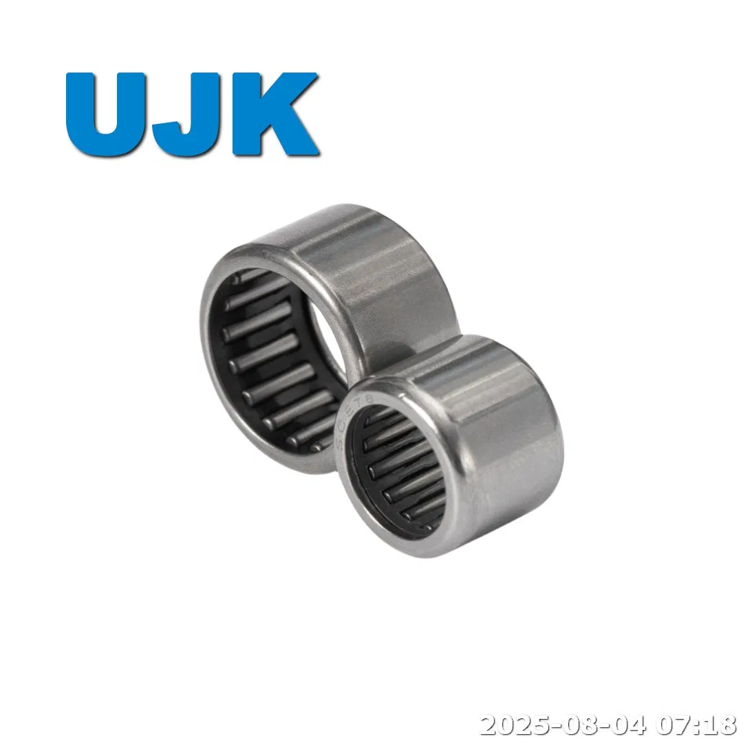 HK Needle Roller Bearings Hn1516 Hf0812 HK0810 HK1010 HK1210 HK1512 HK 0810 Miniature Needle Bearings Needle Ball Bearing pictures & photos