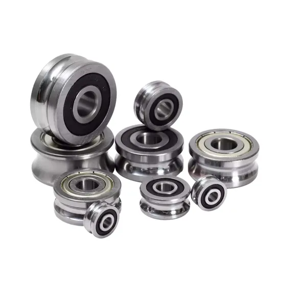 Lr209nppu Lr209-2z Lr604nppu Lr604-2RS Cylindrical Single Row Guide Wheel Bearing Thickened Roller with Sg & for LV Lfr Lr pictures & photos