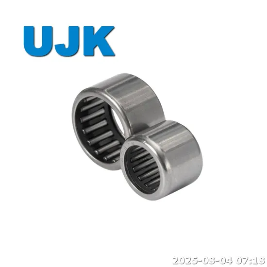 HK Needle Roller Bearings HK2220 HK2220 HK2512 HK2512 HK2516 HK2520 HK2526 HK3012 HK3020 HK3026 HK3512 HK3520 HK4016 HK4020 HK4516 HK4520 HK5020 HK5520 pictures & photos