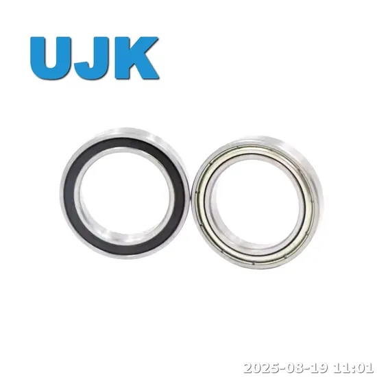 Thin Section Ball Bearings 16009/16009-2RS/16009zz (7000109/7000109 2RS/7000109 ZZ) 45X75X10 0.170kg pictures & photos