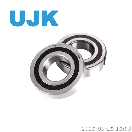 One Way Clutch Bearing 6205 Csk 20 PP 20X47X14 Csk20 2RS Deep Groove Balls One Way Rotation Bearing Csk20PP pictures & photos