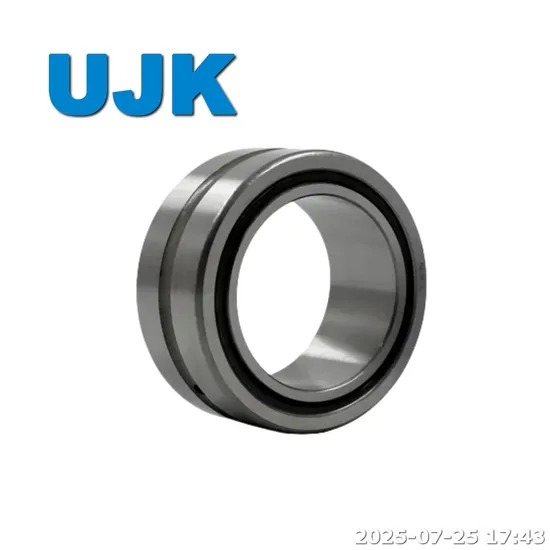 Na Rna Needle Roller Bearings Na 4900 Na 4907 Na 4908 Na 4908 Na 4910 Na 6904 Na 6905 Na206 Na207 Na4822 Na4900 Na4900 2RS Na4901 pictures & photos