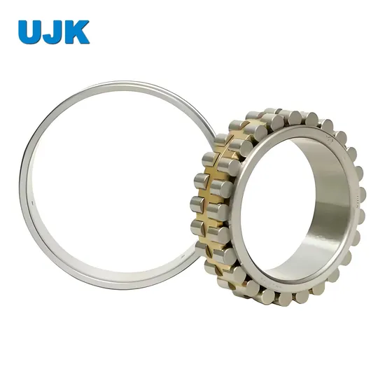 Double Row Cylindrical Roller Bearings 3282140 3282144 3282148 3282152 3282156 3282160 3282164 3282168 3282172 3282176 3282180 3282184 3282188 pictures & photos
