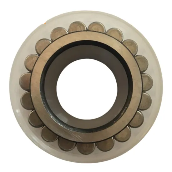 Double Row Full Complement Cylindrical Roller Bearings for Oil Pump and Industrial Transmission, Automotive, Electric Nnf 5020 pictures & photos