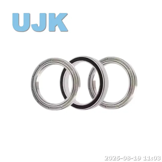 Thin Deep Groove Ball Bearings 61819/61819-2RS/61819zz (1000819/1000819 2RS/1000819 ZZ) 95X120X13 0.300kg pictures & photos