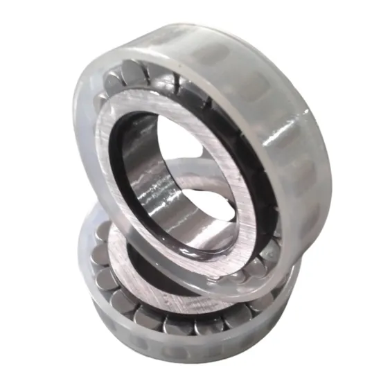 Double Row Full Complement Cylindrical Roller Bearings for Oil Pump and Industrial Transmission, Automotive, Electric Nnf 5020 pictures & photos
