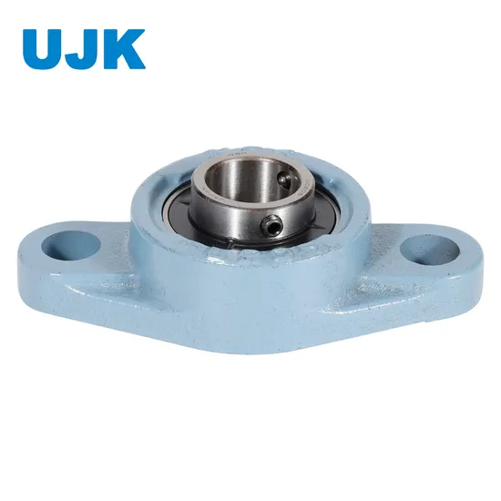 Ujk Miniature Pillow Block Bearings UCFL204 Stainless Steel Medical Equipment Deep Groove Ball Bearing Catalogue Ball Bearing Cartridge pictures & photos