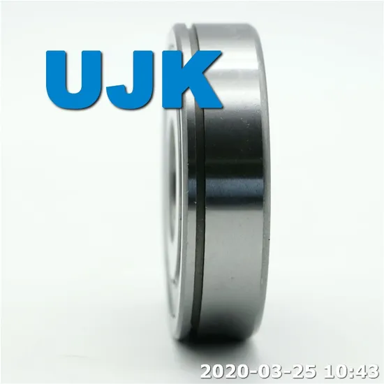 Radial Deep Groove Ball Bearings 6006 2RS 6006 2RS C3 6006 2z 6006 C3 6006 Zz 6006du 6006lu 6006rz 6006z 6007 2RS 6007 2RS C3 6007 C3 Used for Wheel pictures & photos