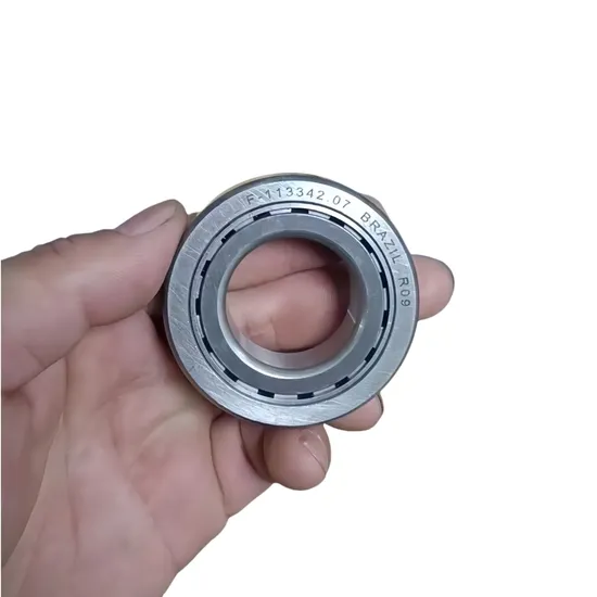 Cylindrical Roller Bearing Needle Roller Bearings Motorcycle Bearings F-113342.07 F-113282.3 F-239956.02 F-113274.01-0010 F-239956.02 F-113712 Pgdf11334207 pictures & photos