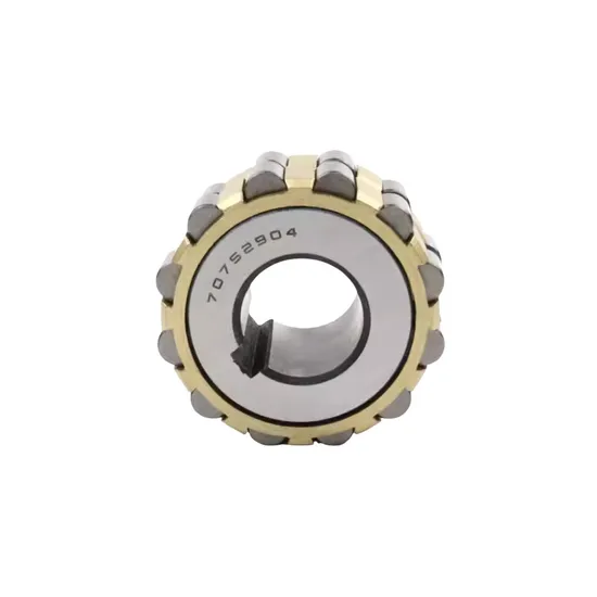 Reducer Special Integral Eccentric Bearings Cylindrical Roller Bearings 250752307K pictures & photos