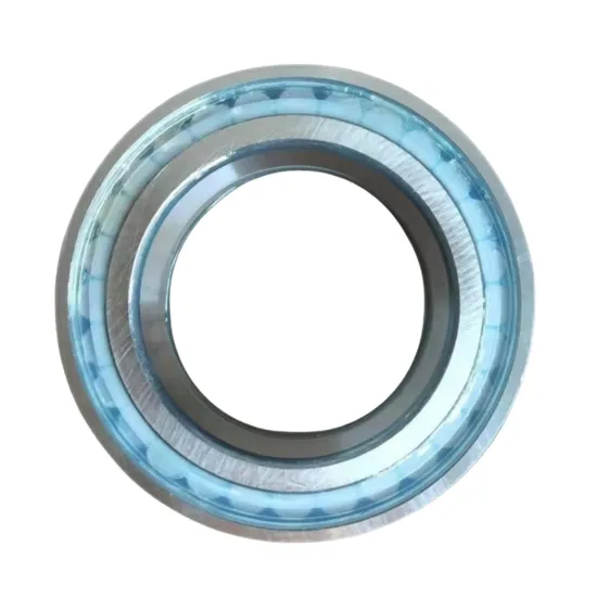 SL045010-D-PP Full Complement Double Row Cylindrical Roller Bearing Nr Series Product in Category Cylindrical Roller Bearings pictures & photos