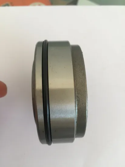 Quality Truck Auto Center Drive Shaft Support Bearing 6014-B 22 2rsc3 6014-B25-2RS-C3 Wr6014-2RS-C3 Wir6014-2RS-C3 60115K 70112wb 114-1040-2rsr2-2brs2c3 pictures & photos