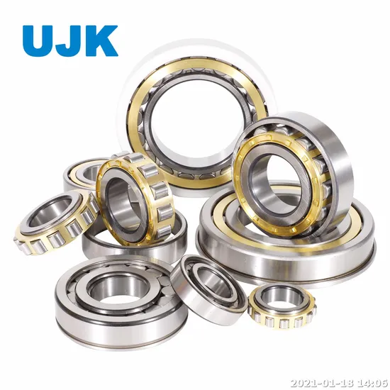 Cylindrical Roller Bearings 305 307 307 Ec 308 310 310 Ec 311 313 Used for Automotive Alternators / Starters pictures & photos