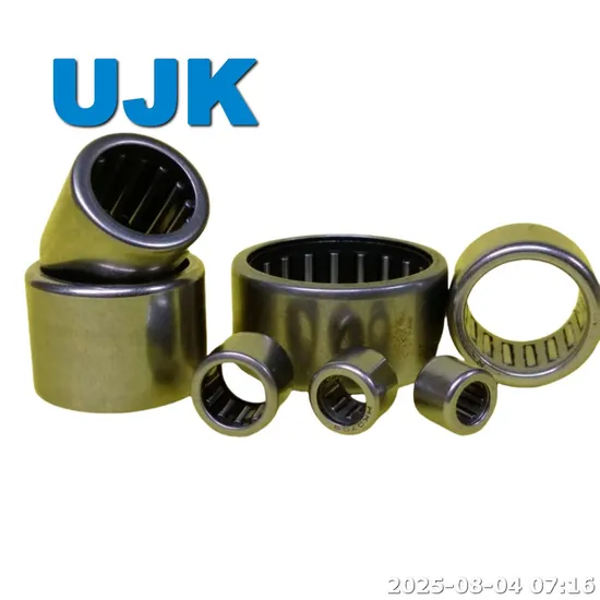 HK Needle Roller Bearings HK 0810 HK 0810 HK 0812 2RS HK 1210 HK 1212 HK 1612 HK 1816 HK 2012 HK 2212 HK 3016 HK0306 HK0408 HK0509 HK0608 HK0609 pictures & photos