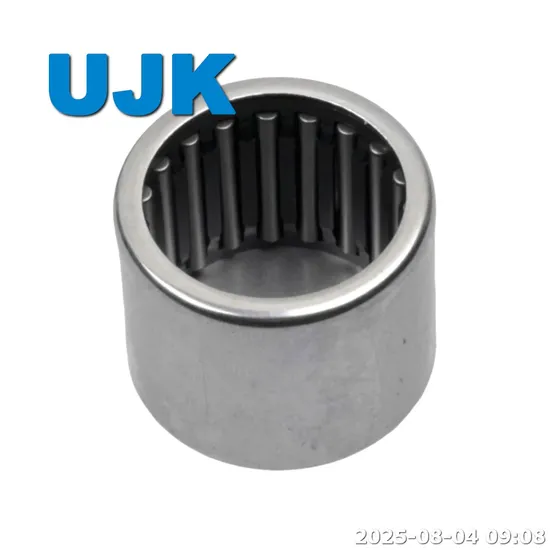 Bk Needle Roller Bearings Bk2216 Bk5020 Bk5520 Bk6020 Bk0912 Bk1012 Bk2520 Bk2820 Bk3020 Bk3520 Bk4020 Bk4520 pictures & photos