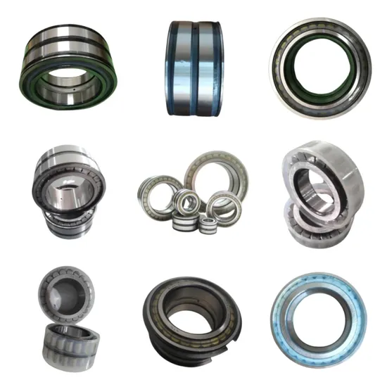 Double-Row Full Complement Cylindrical Roller Bearing Original Genuin SL04170 SL04170-D-PP SL04170-D-PP-2nr pictures & photos
