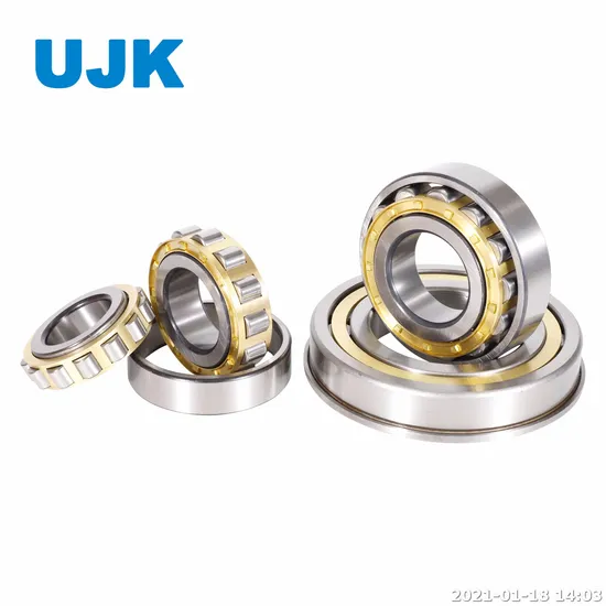 Cylindrical Roller Bearings NF205 NF206 NF309 Nj202 Nj203 Nj204 Nj206 Nj206e Nj207e Nj208 Nj210 Nj212 Nj214 Nj215 Nj216 Nj218 Nj220 Nj2206 for Machine pictures & photos