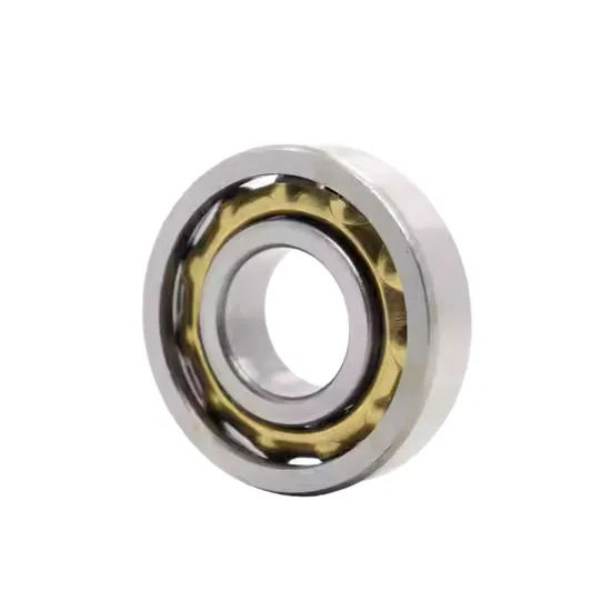 E5 En5 Magnetic Bearing Magneto Bearing with Brass Cage for Textile Spinning Mills Machine pictures & photos