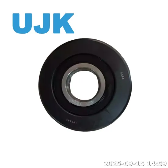 Good Price Bearing Size 55X119.2X34 Forklift Mast Bearing 980811nt for Forklift Good Quality Bearing for Heli Cpcd30 Forklift Parts 980811nt Bearing pictures & photos