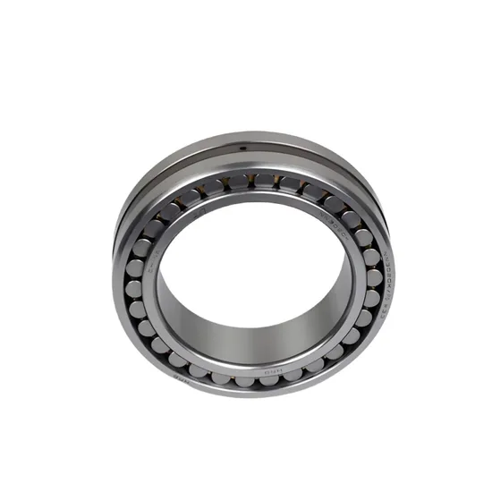 Double Row Cylindrical Roller Bearings Nnu49/500K Nn3020K/W33 Nn3022K/W33 Nn3024K/W33 Nn3026K/W33 Nn3028K/W33 Nn3030K/W33 Nn3032K/W33 Nn3034K/W33 pictures & photos