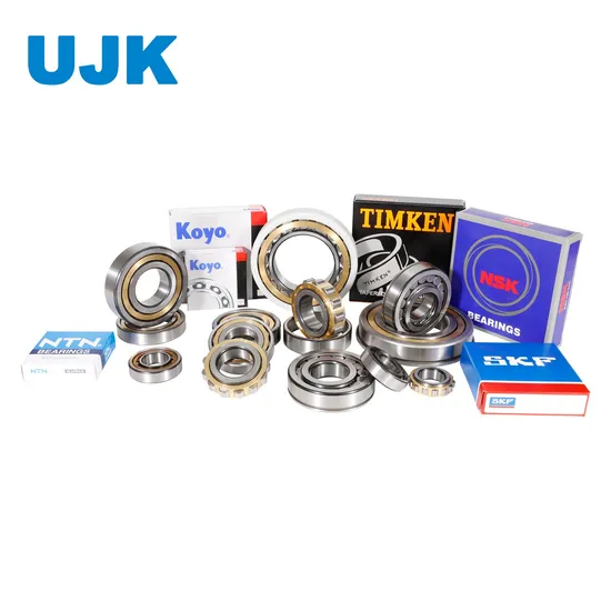 Ball Bearings Roller Bearings NSK NTN Koyo NACHI IKO Fyh Fk Tr Ijk THK NMB Asahi Snr Ezo Urb Lyc Zwz Hrb Tmb QC C&U Vxb Boca Used for Motor Auto Pump pictures & photos