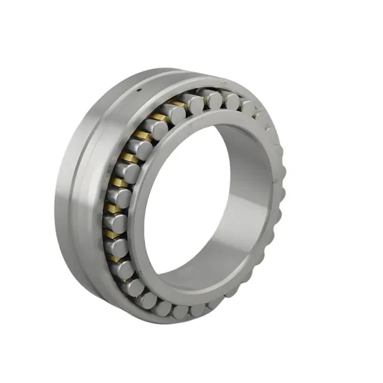 Double Row Cylindrical Roller Bearings Nn3021K Nn3022K Nn3024K Nn3026K Nn3028K Nn3030K Nn3032K Nn3034K Nn3036K Nn3038K Nn3040K Nn3044K Nn3048K pictures & photos