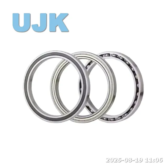 Thin Section Bearings 61838/61838zz (1000838/1000838 ZZ) 190X240X24 2.620kg 61840 (1000840) 200X250X24 2.700kg pictures & photos