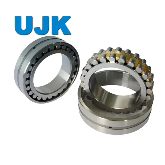Double Row Cylindrical Roller Bearings 3282107 3282108 3282109 3282110 3282111 3282112 3282113 3282114 3282115 3282116 3282117 3282118 3282119 pictures & photos