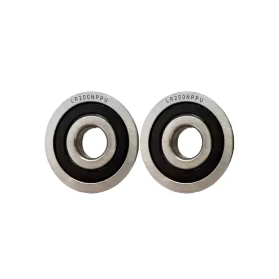 Lr Series Guide Rail Roller Bearings Npp Nppu Kdd Kddu Lr606 Lr607 Lr608 Lr6000 Lr6001 Lr200 Lr201 Lr202 Lr203 Lr204 Lr205 Lr206 Lr207 Lr208 Lr209 pictures & photos