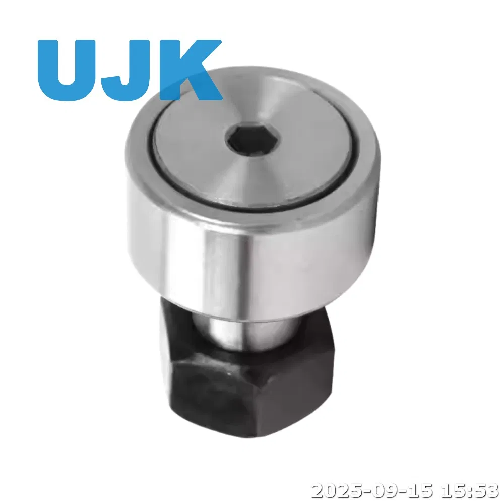 CF8 Kr19 Cam Follower 8X19mm Stud Type Track Roller CF8 Kr 19 PP Needle Roller Bearing with Hex Hole pictures & photos