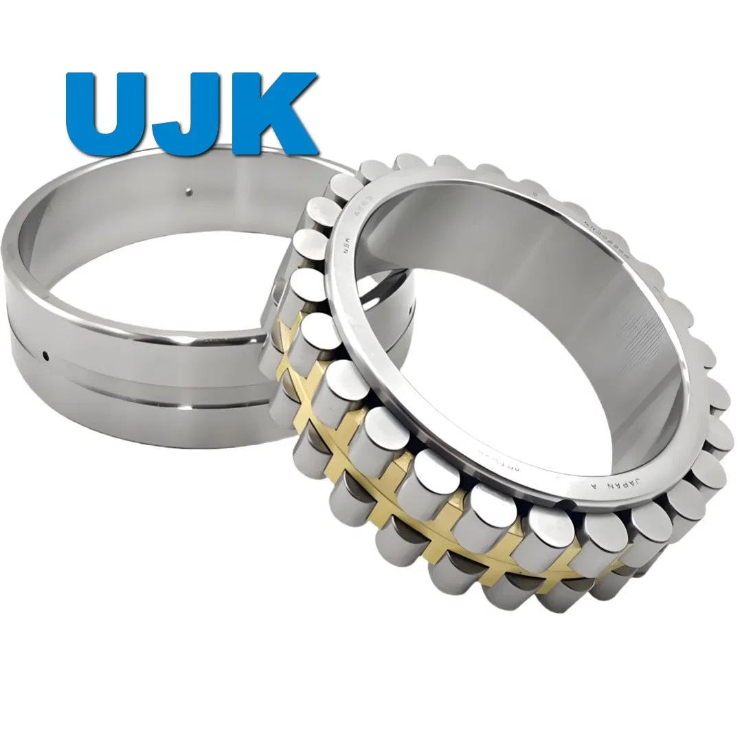 Double Row Cylindrical Roller Bearings 3282105 3282106 3282107 3282108 3282109 3282110 3282111 3282112 3282113 3282114 3282115 for Machine Tools pictures & photos