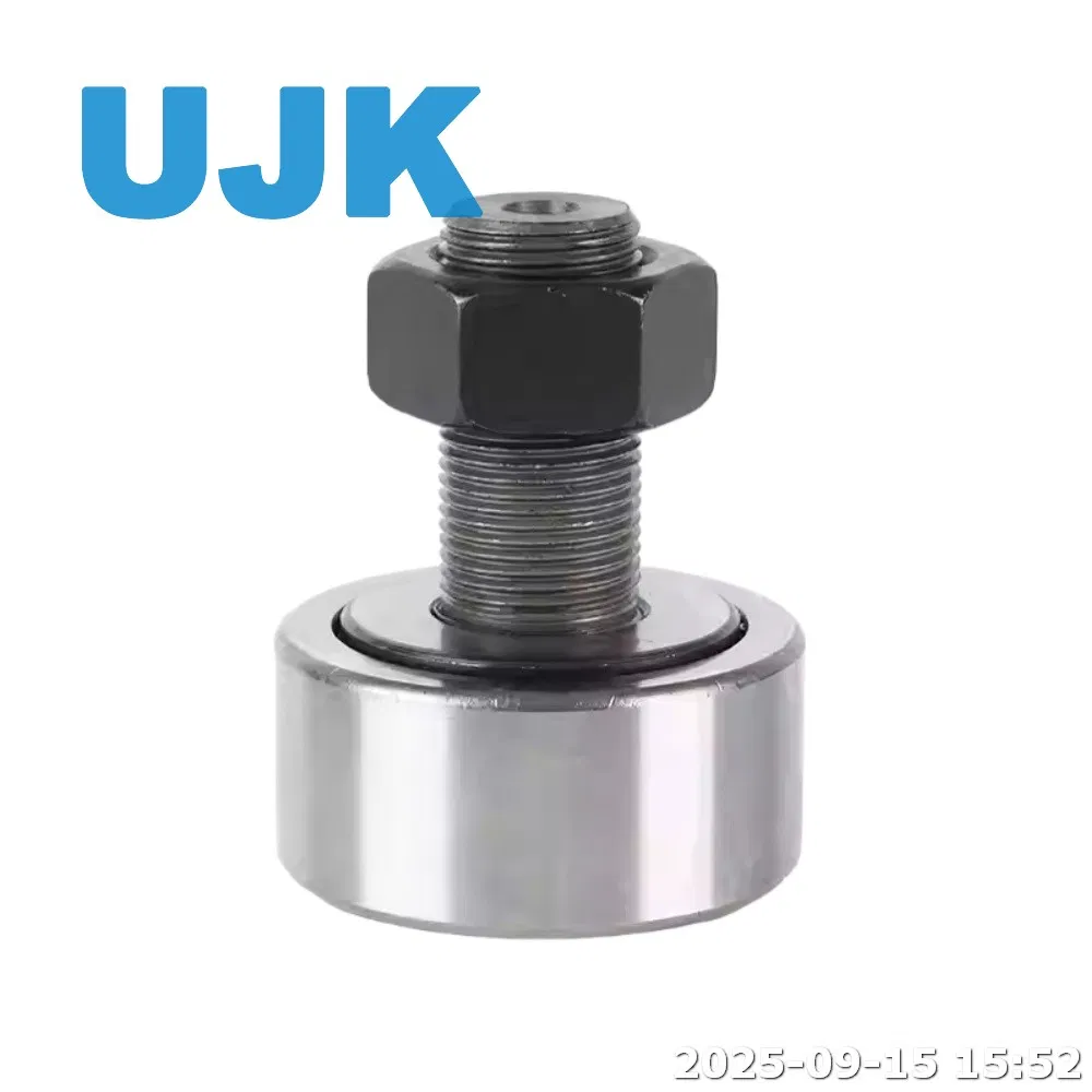CF8 Kr19 Cam Follower 8X19mm Stud Type Track Roller CF8 Kr 19 PP Needle Roller Bearing with Hex Hole pictures & photos