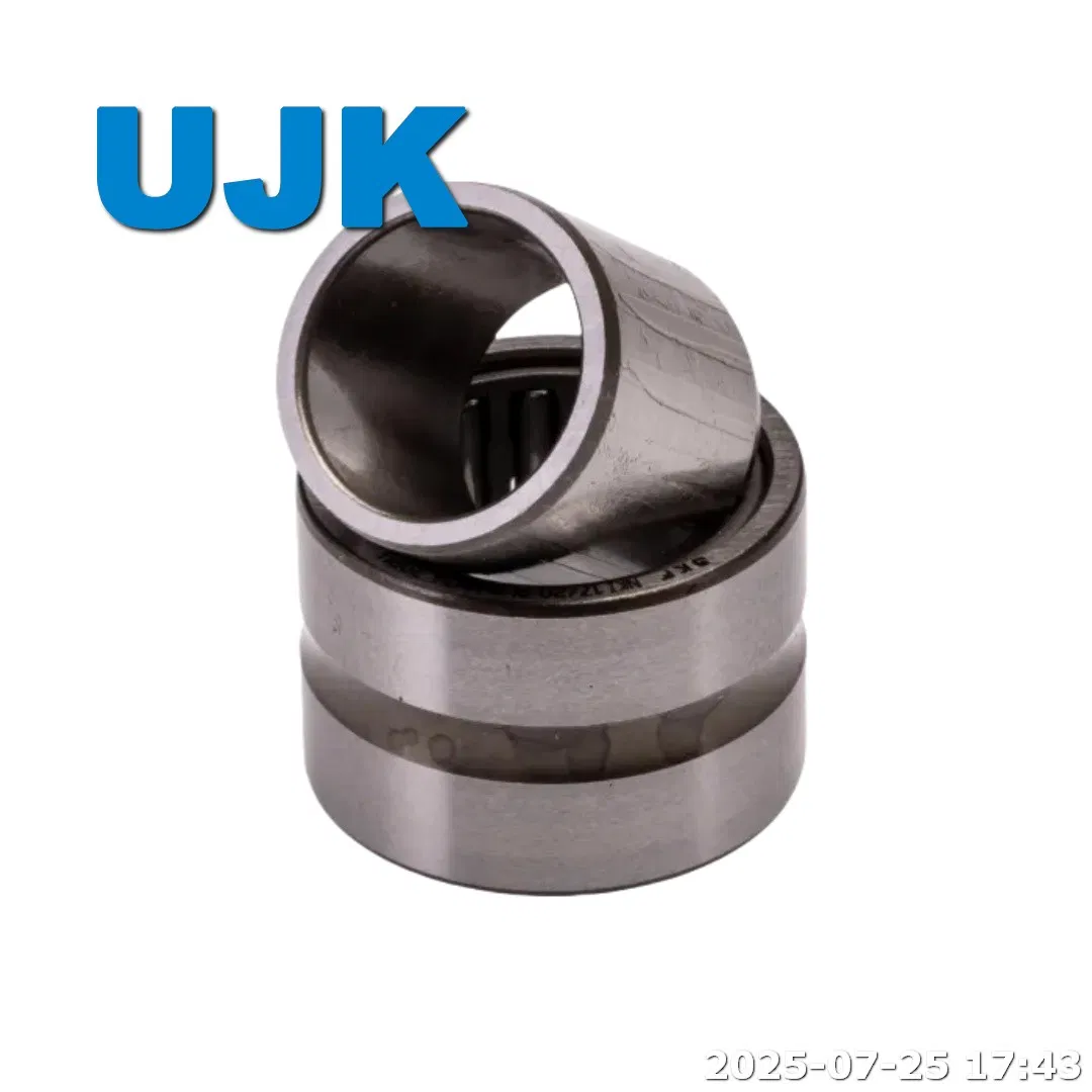 Na Rna Needle Roller Bearings Na 4900 Na 4907 Na 4908 Na 4908 Na 4910 Na 6904 Na 6905 Na206 Na207 Na4822 Na4900 Na4900 2RS Na4901 pictures & photos