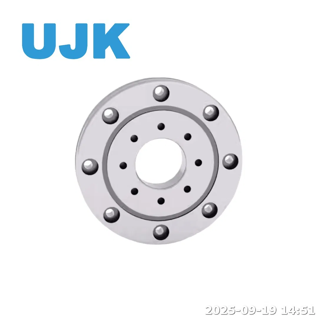Chinese Factory Manufactures Single Row Cylindrical Cross Roller Bearings (with Mounting Holes) Suitable for CNC Machine Tools pictures & photos