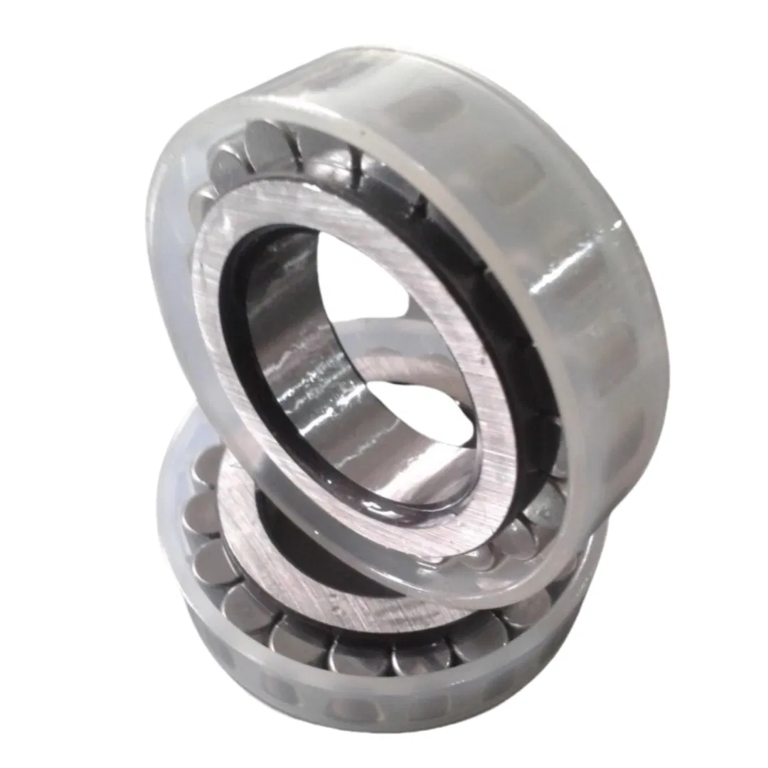 Double Row Full Complement Cylindrical Roller Bearings for Oil Pump and Industrial Transmission, Automotive, Electric Nnf 5020 pictures & photos