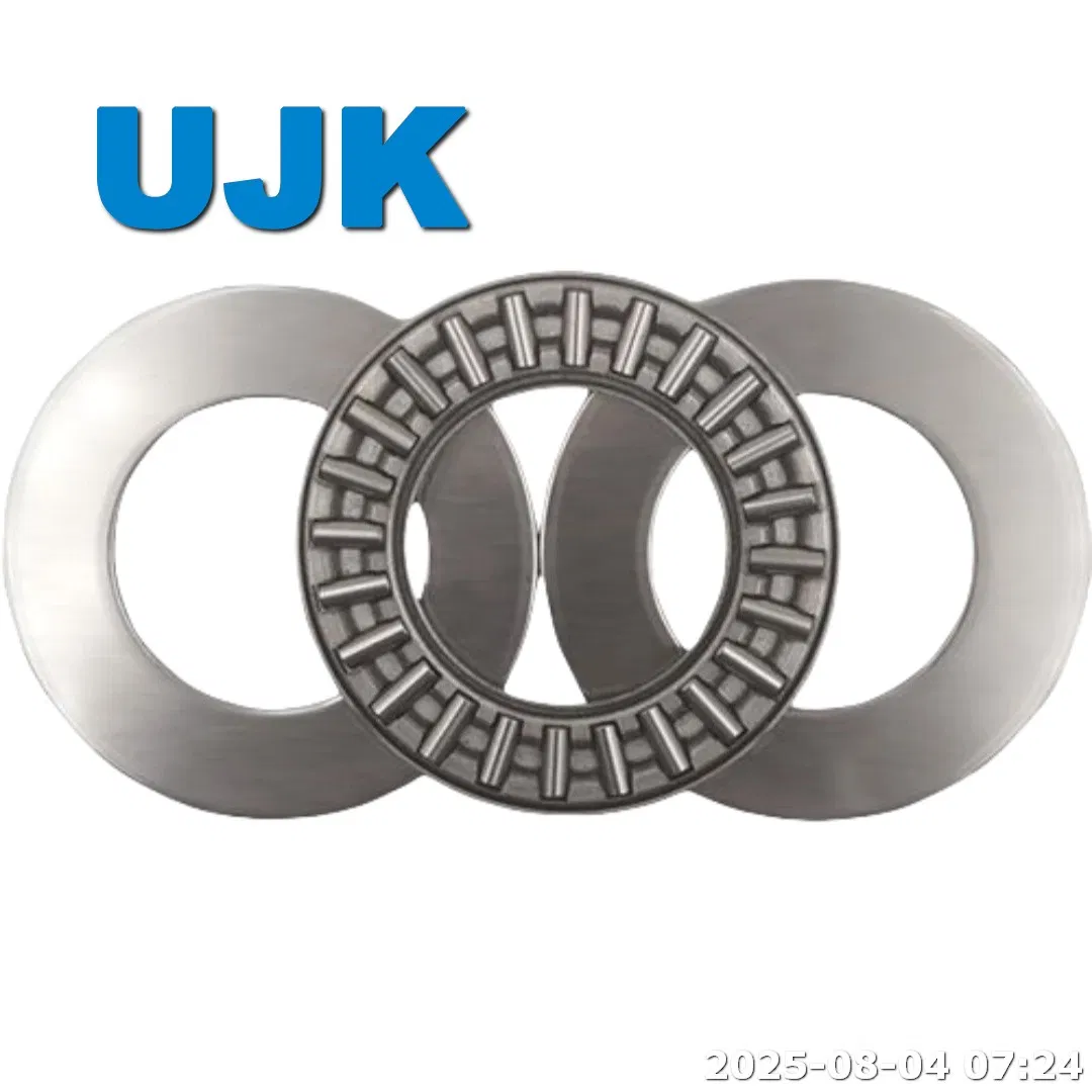 Needle Roller Thrust Bearings Ls 1528 Ls 1730 Ls 3047 Ls 4565 Ls 5578 Ls 85110 as 0414 as 0515 as 0619 as 100135 pictures & photos